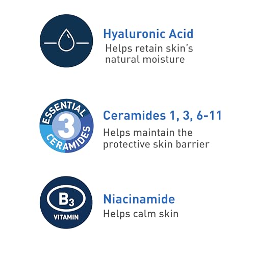 Version 1.0.0 CeraVe Foaming Cleanser – Oily Skin